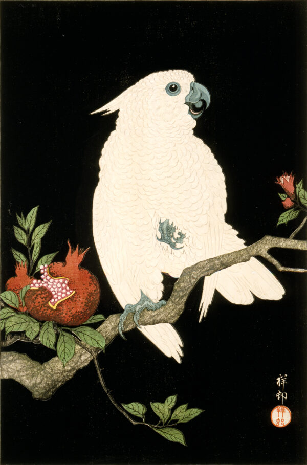 Ohara Shōson - Cockatoo and Pomegranate - Image 2