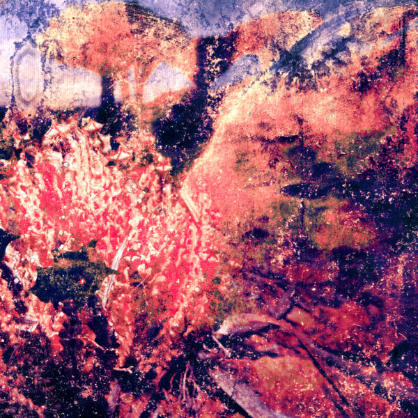 Chemograph Two